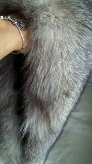 Мех песца (воротник )