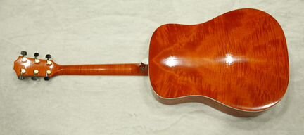 Taylor 610-L30, USA 2004