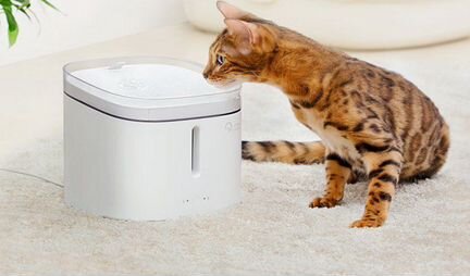 Поилка для животных Xiaomi Kitten Puppy Pet Water