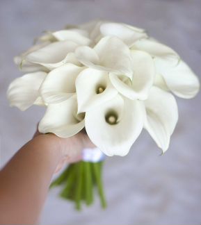 Букет невесты из белых калл