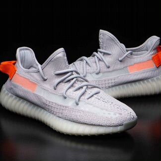 Adidas Yeezy Boost 350 v.2 