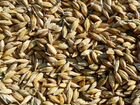 Зерно пшеница, ячмень, сено объявление продам