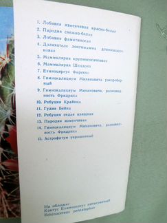 Кактусы. Набор открыток