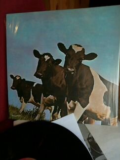 Винил Pink Floyd