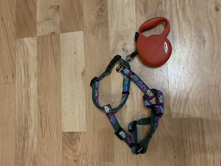 Поводок рулетка flexi и шлейка