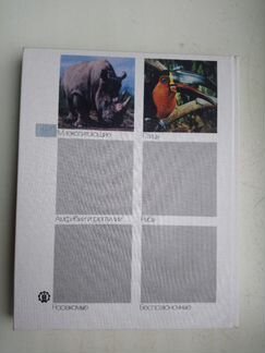 Книга 