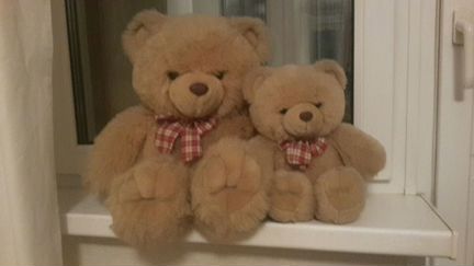 Плюшевый медведь