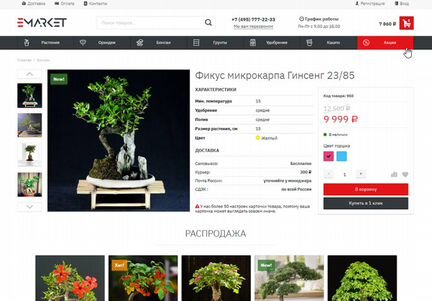 Лицензия Webasyst интернет магазин (shop-script)